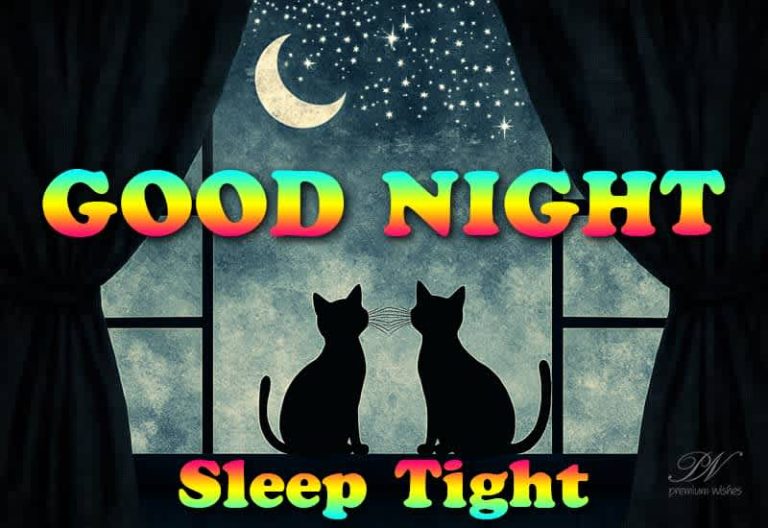 Good Night Wishes