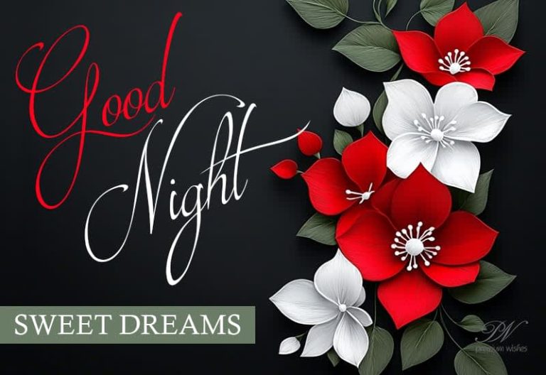 Good Night Wishes