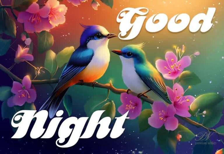 Good Night Wishes