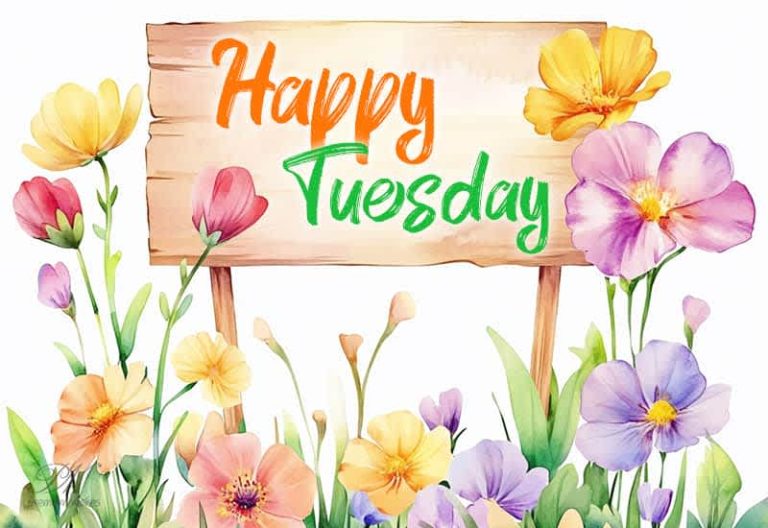 Happy Tuesday – Have a great morning