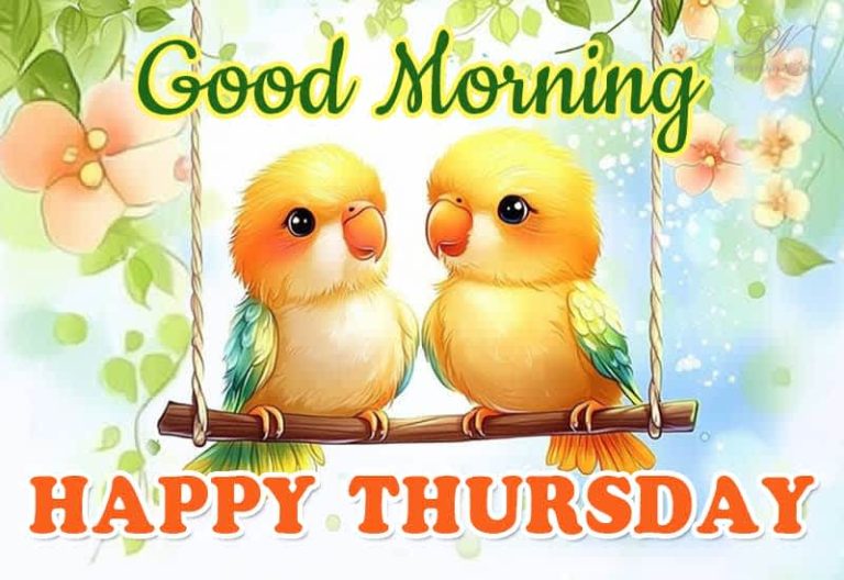 Good Morning – Happy Thursday Friends