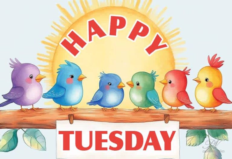 Good Morning – Happy Tuesday – Enjoy among friends