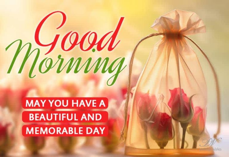 Good Morning – May you have beautiful and memorable day friends