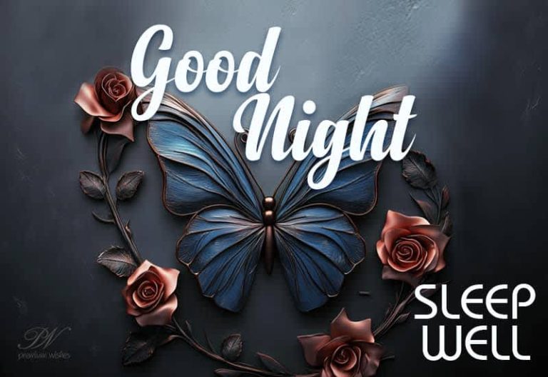 Good Night Wishes