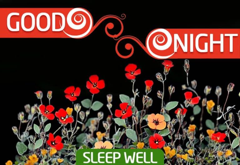 Good Night Wishes