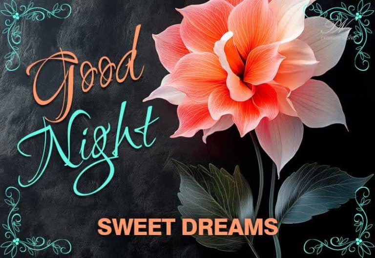 Good Night Wishes