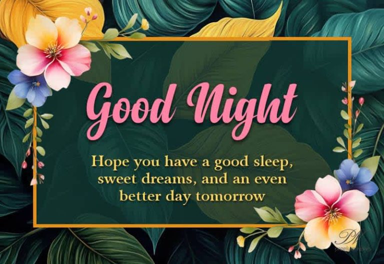 Good Night Wishes