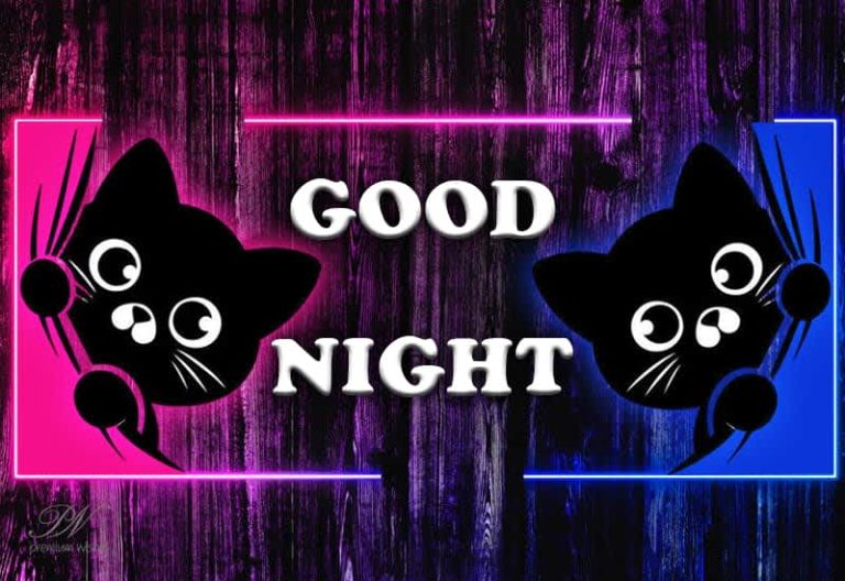 Good Night Wishes