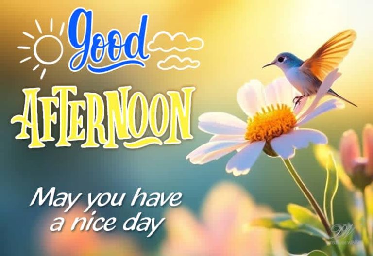 Good Afternoon Wishes