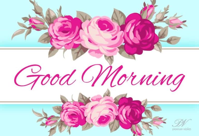 Good Morning Friends – Enjoy this fabulous day