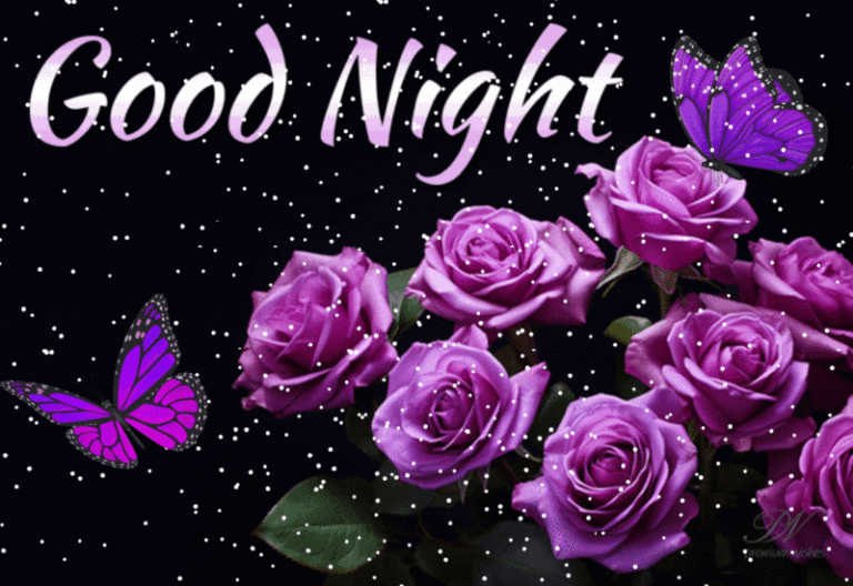 Good Night Wishes