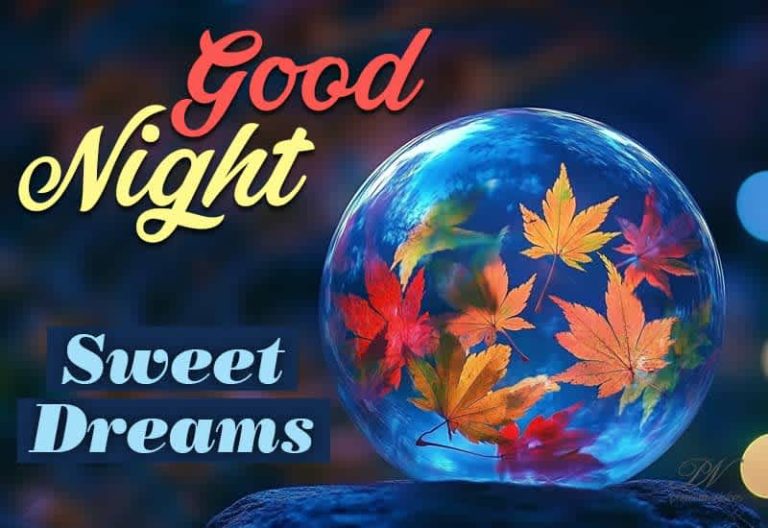 Good Night Wishes