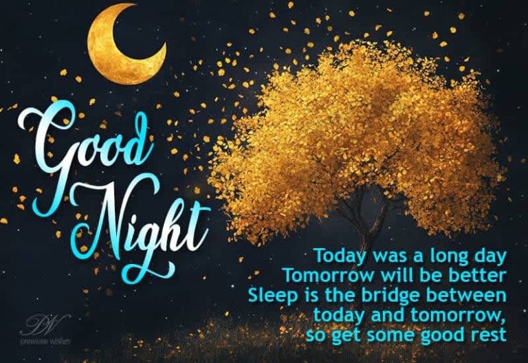 Good Night Wishes