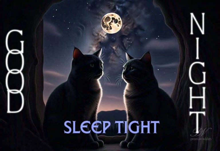 Good Night Wishes