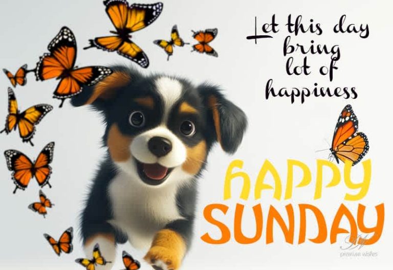 Happy Sunday – Let this day bring lot of happiness