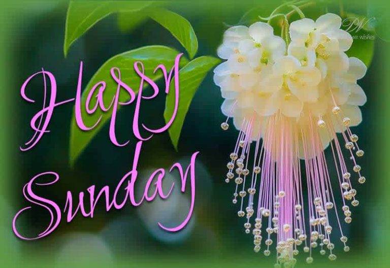 Happy Sunday – May this Sunday bring you many good things in your life