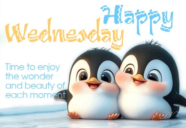 Happy Wednesday – Time to enjoy the wonder and beauty of each moment
