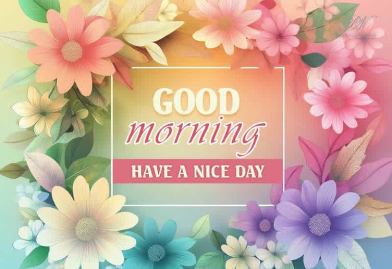 Good Morning – Have a wonderful day ahead friends – Spend it well