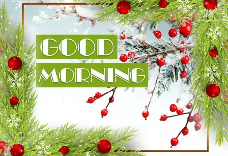 Good Morning – Enjoy the festive season
