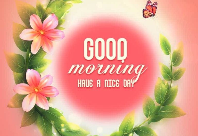 Good Morning – Have a nice and pleasant day
