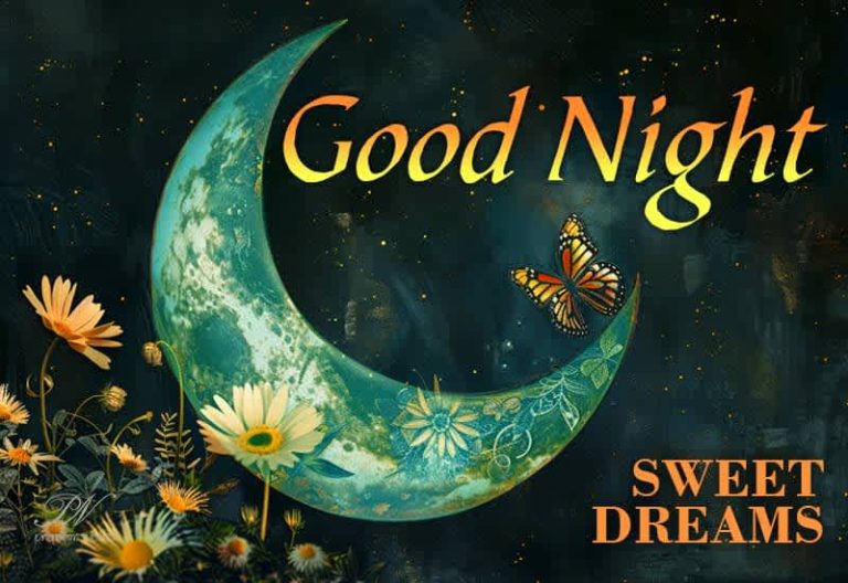 Good Night Wishes