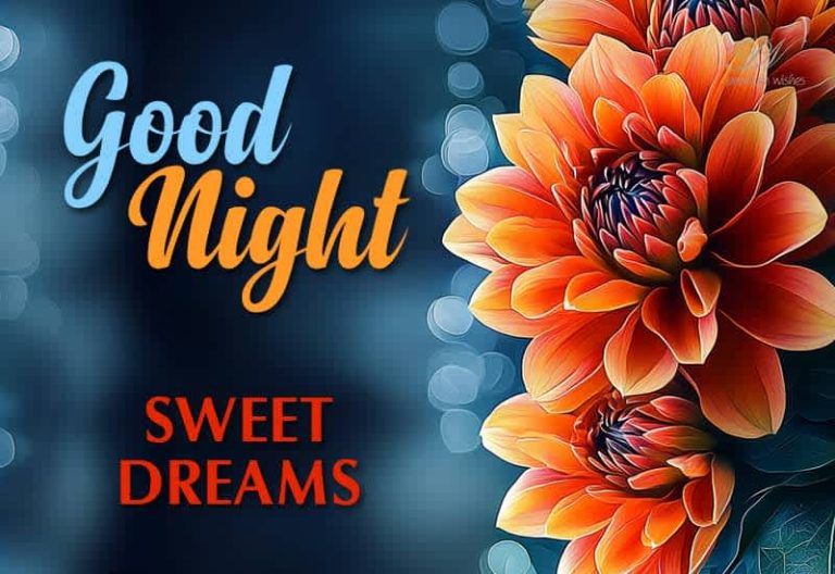 Good Night Wishes