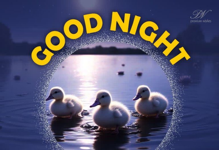 Good Night Wishes