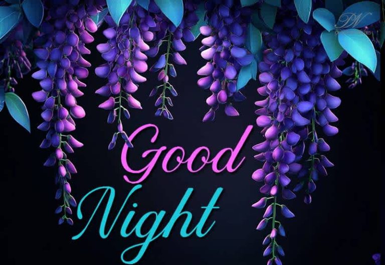 Good Night Wishes