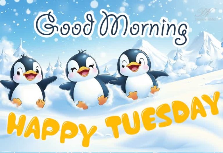 Happy Tuesday – Good Morning Friends – Enjoy the chill around you