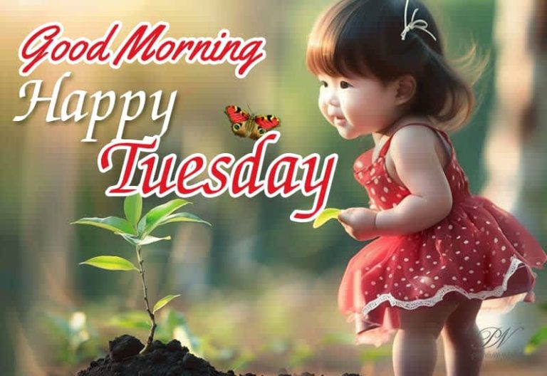 Good Morning – Happy Tuesday – Live amidst your surroundings