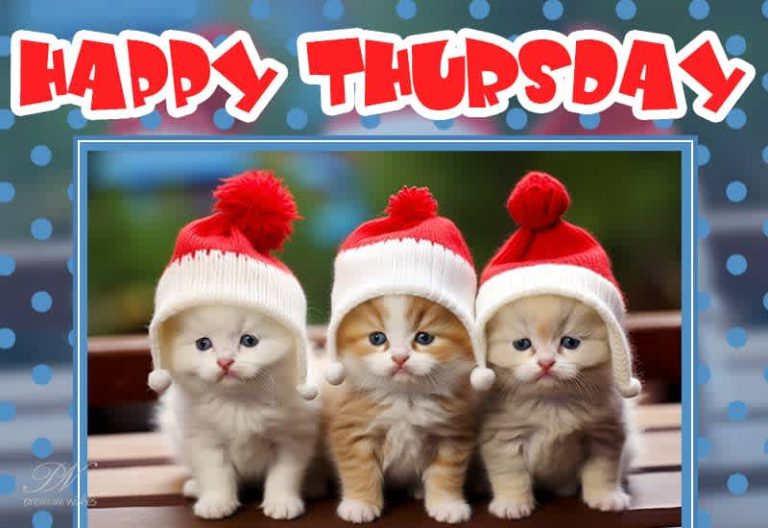 Happy Thursday – Enjoy this festive season with friends