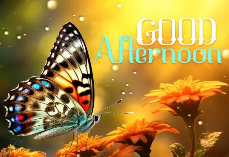 Good Afternoon Wishes