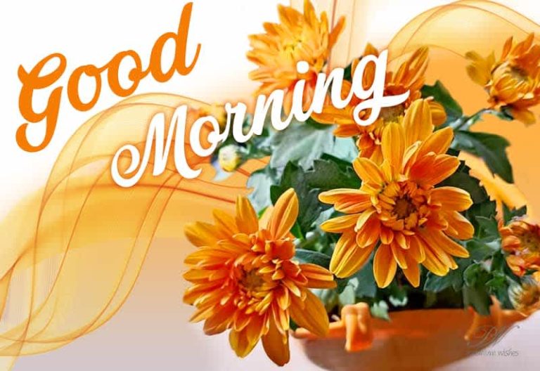 Good Morning Friends – Enjoy a peaceful chilly morning