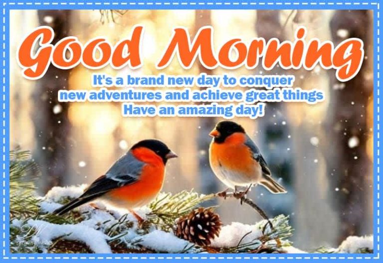 Good Morning – It’s a brand new day to conquer new adventures and achieve great things – Have an amazing day