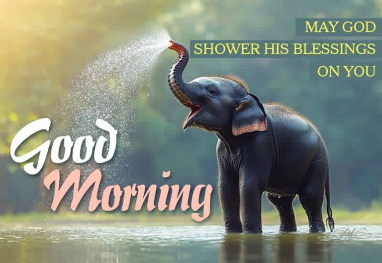 Good Morning – May God shower his blessings on you