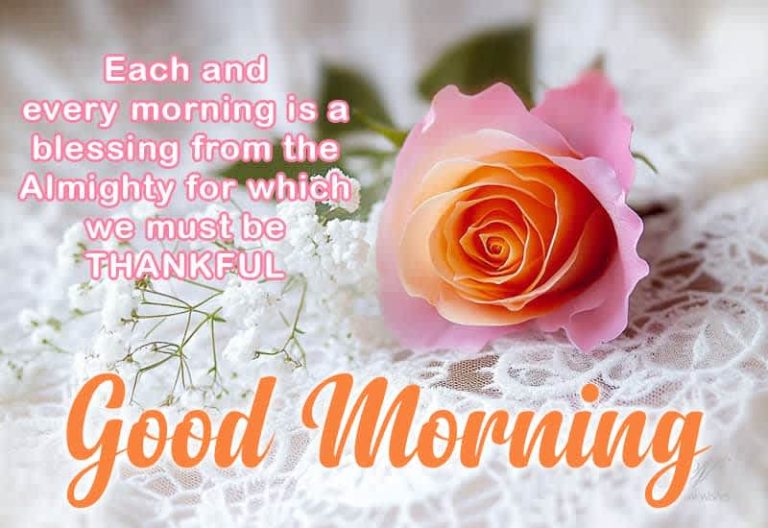 Good Morning Friends – Each and every morning is a blessing from the Almighty for which we must be thankful