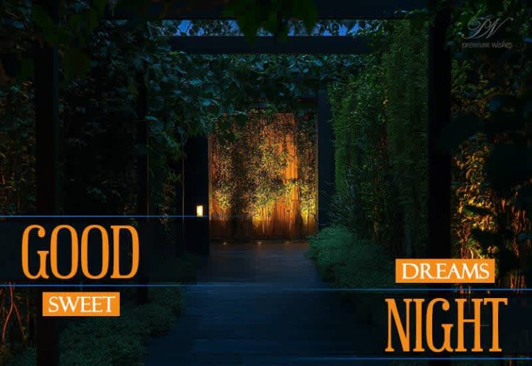 Good Night Wishes