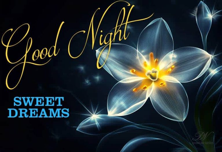 Good Night Wishes