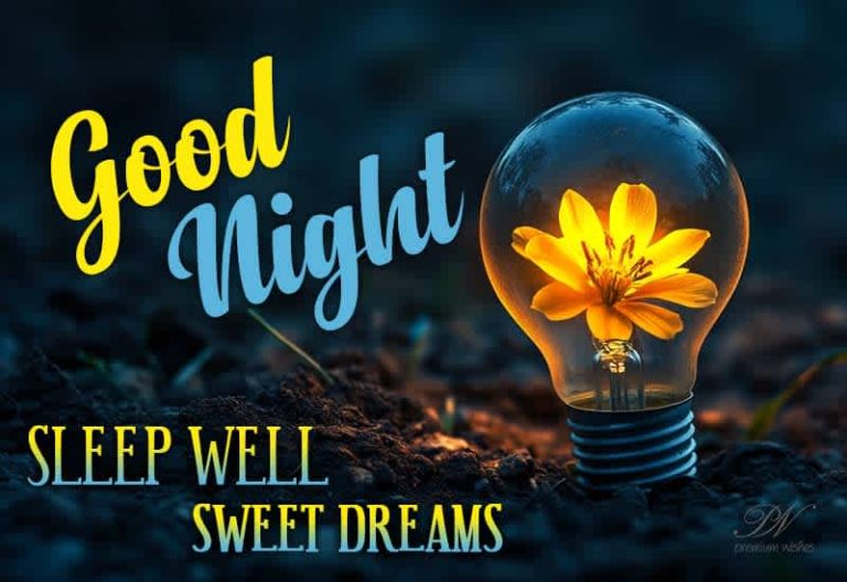 Good Night Wishes