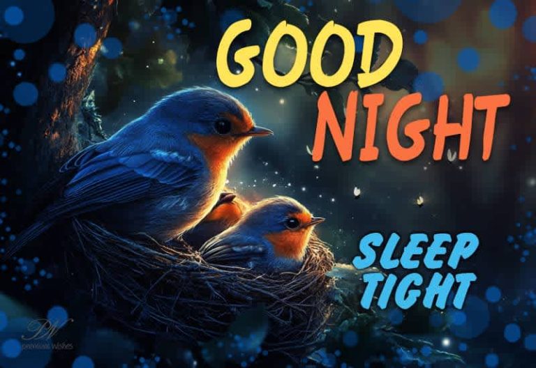 Good Night Wishes