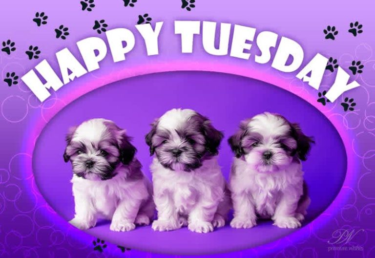 Happy Tuesday – Cheers to more fun and memories