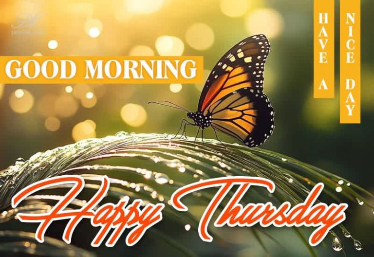Good Morning – Happy Thursday – Wishing you a peaceful day