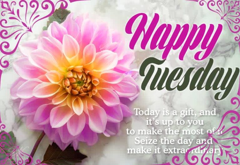 Happy Tuesday – Today is a gift and it’s up to you to make the most of it