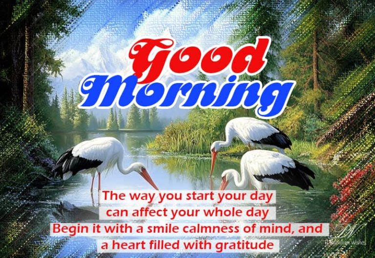 Good Morning – The way you start your day can affect your whole day –