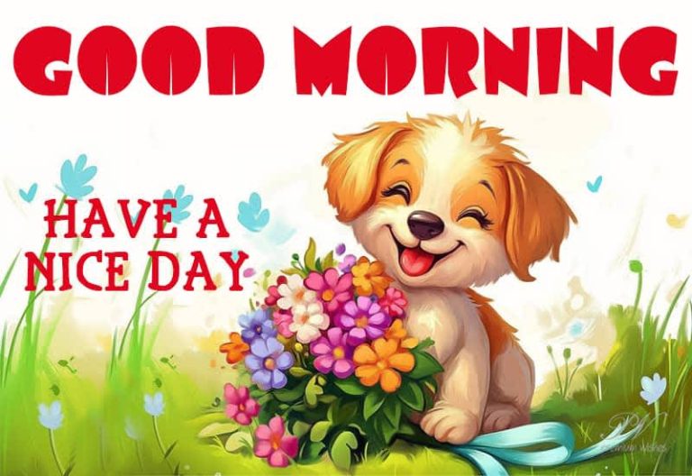 Good Morning – Enjoy – Smile and Have a nice day