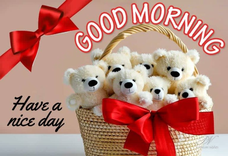 Good Morning – Have a pleasant morning and a nice day