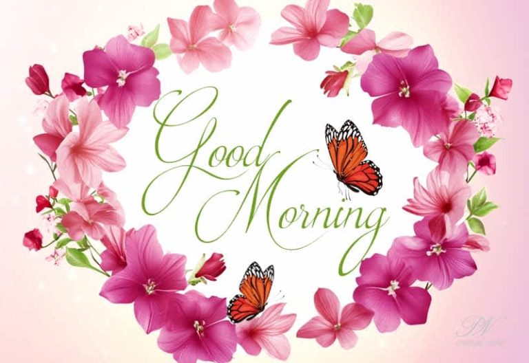 Good Morning – Have a fabulous and pleasant morning