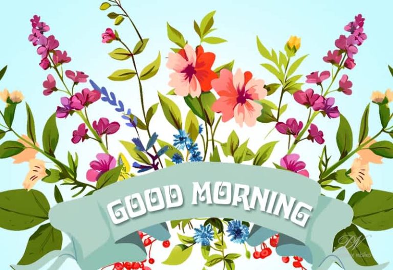 Good Morning Friends – Have a nice and sweet day