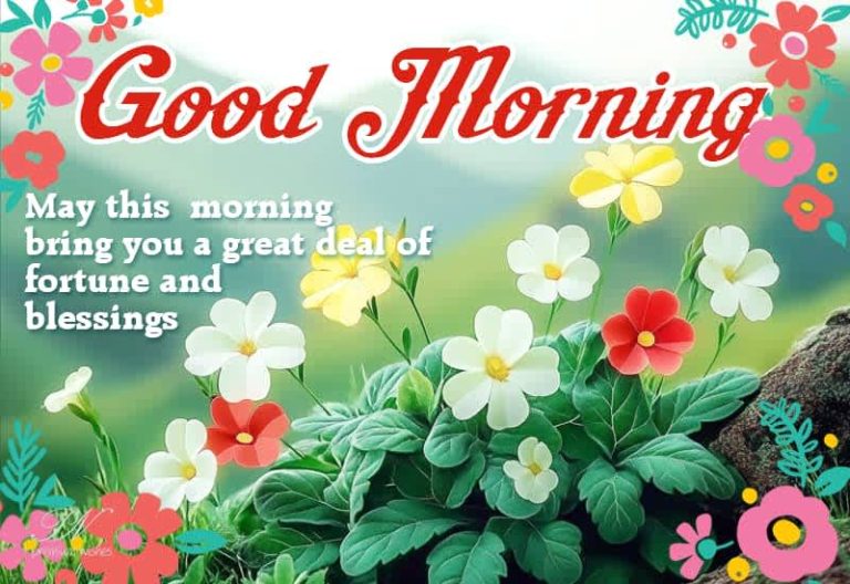 Good Morning – May this morning bring you a great deal of fortune and blessings