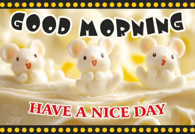 Good Morning – Have a nice day – Smile and enjoy with friends Good Morning – Have a nice day – Smile and enjoy with friends